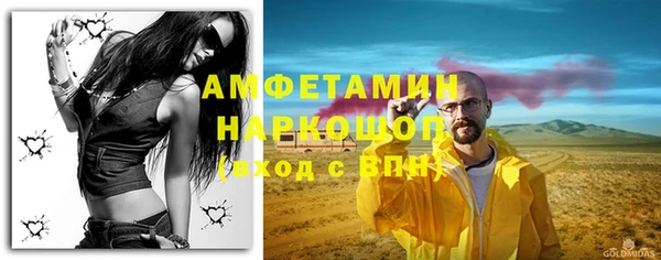 прущие грибы Беломорск