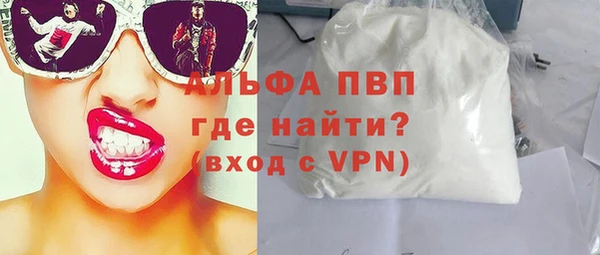 прущие грибы Беломорск