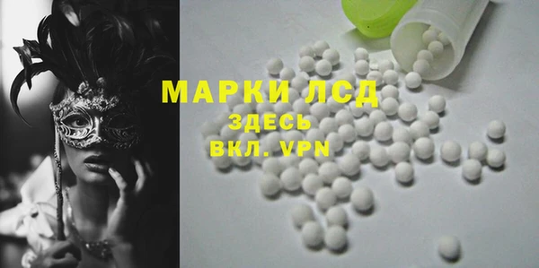 прущие грибы Беломорск