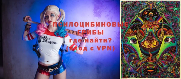 индика Белоозёрский