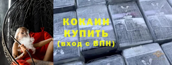 индика Белоозёрский