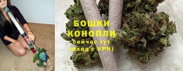 индика Белоозёрский