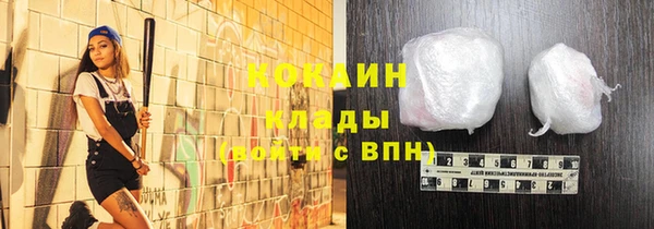 индика Белоозёрский