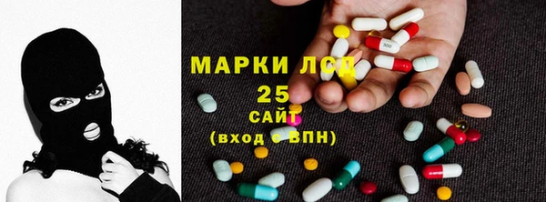 индика Белоозёрский