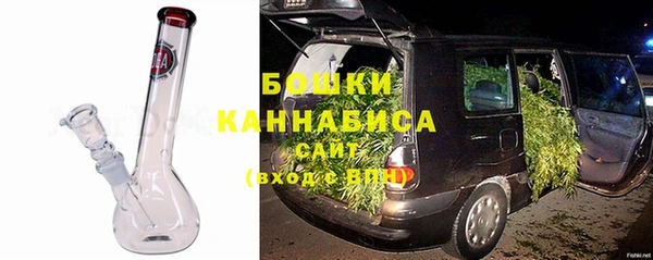 индика Белоозёрский